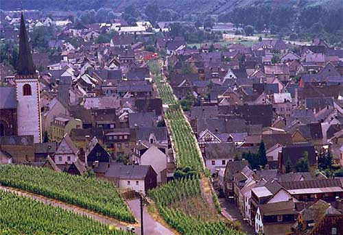 Bruttig-Fankel