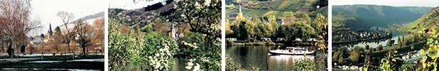 Senheim: Winter, Frühling, Sommer und Herbst