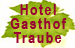 Hotel Gasthof Traube in Niederfell