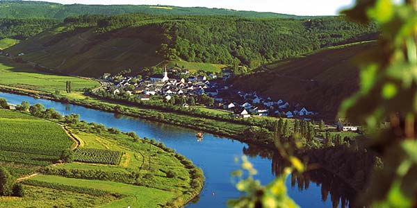 Ensch Roemische Weinstrasse Mosel