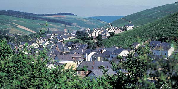 Panoramablick auf die Weinlandschaft von Fell