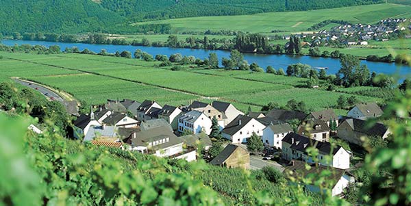 Longen Roemische Weinstrasse Mosel