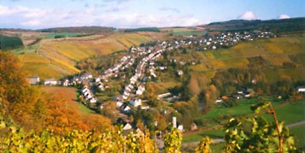 Gusterath Untermosel