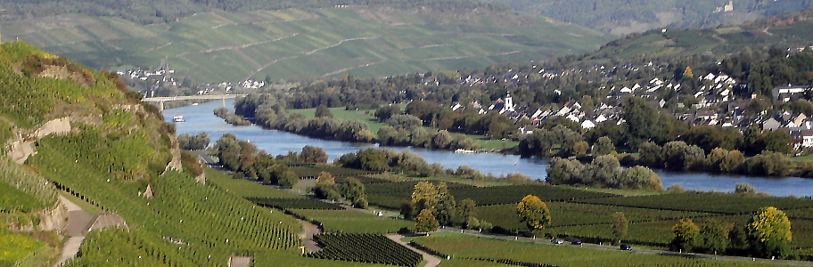 Osann-Monzel, Mittelmosel