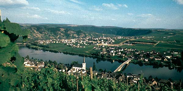 Piesport Panorama Foto Mittelmosel