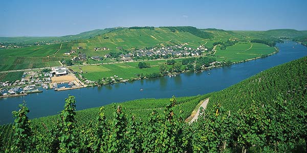 Poelich Roemische Weinstrasse Mosel