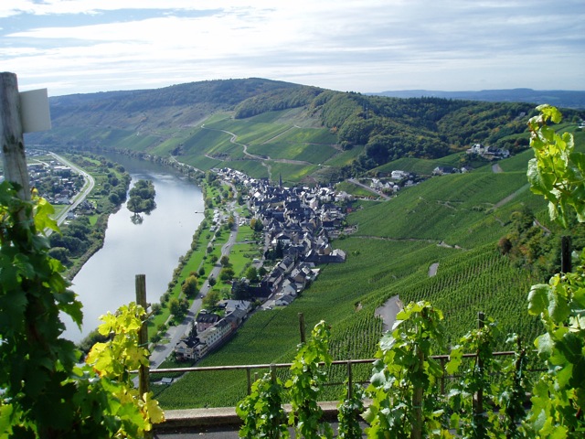 Ürzig Mittelmosel, die charmante Idylle im Herzen der Mittelmosel