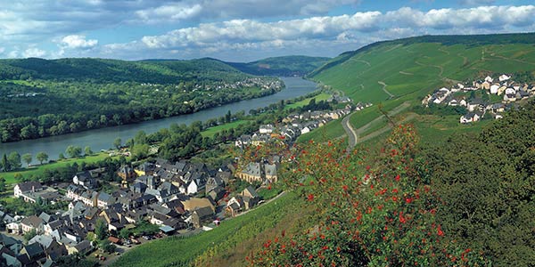 Graach, Mittelmosel