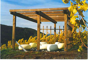 Pergola in den Weinbergen von Mertesdorf