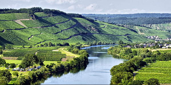 Brauneberg, der wärmste Ort an der Mittelmosel     