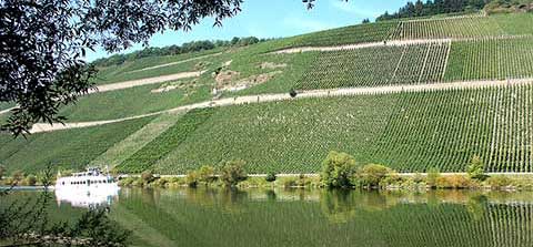 Brauneberger Juffer