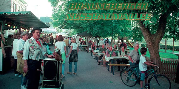 Nussbaumallee in Brauneberg