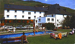 HOTEL DAMPFMÜHLE  in Enkirch an der Mosel