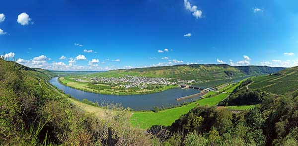 Wintrich Mittelmosel: Foto: ARNOLDI Grafik- und Fotodesign Christopher Arnoldi 