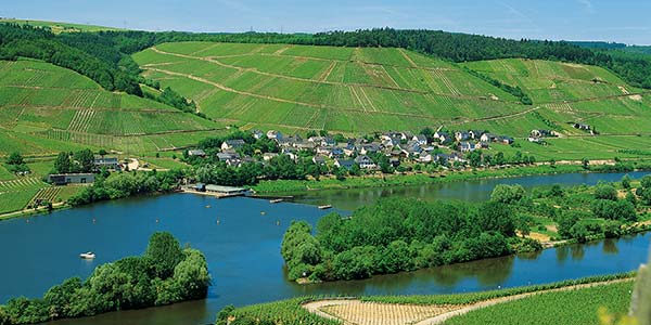 Schleich Mosel, Roemische Weinstrasse