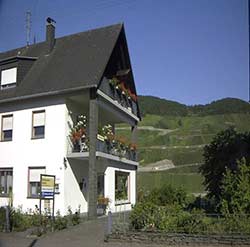 Feriengästehaus Seibel, Christiane Bläsius, Moselweinstr.16, 54349  Trittenheim Mosel