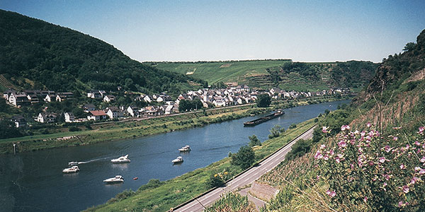 Lehmen Untermosel
