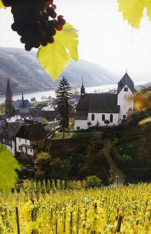 St.Aldegund, Zeller Land, Mosel